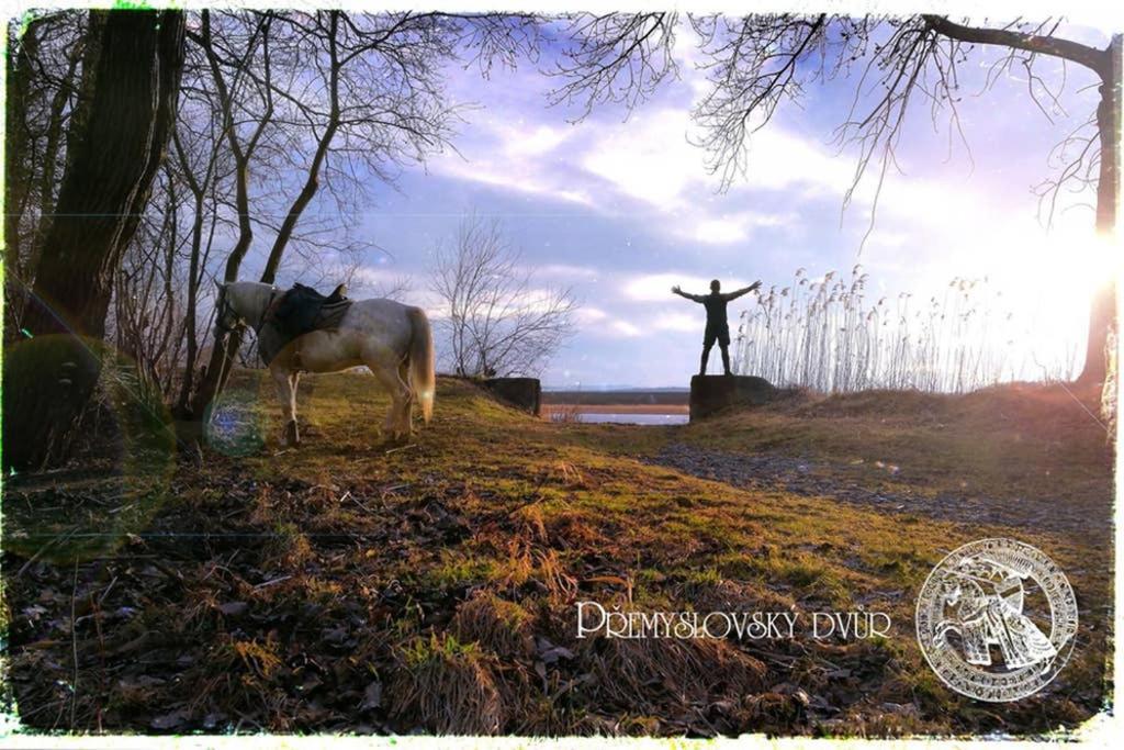 Апартаменти Premyslovsky Dvur Slezske Pavlovice Екстер'єр фото